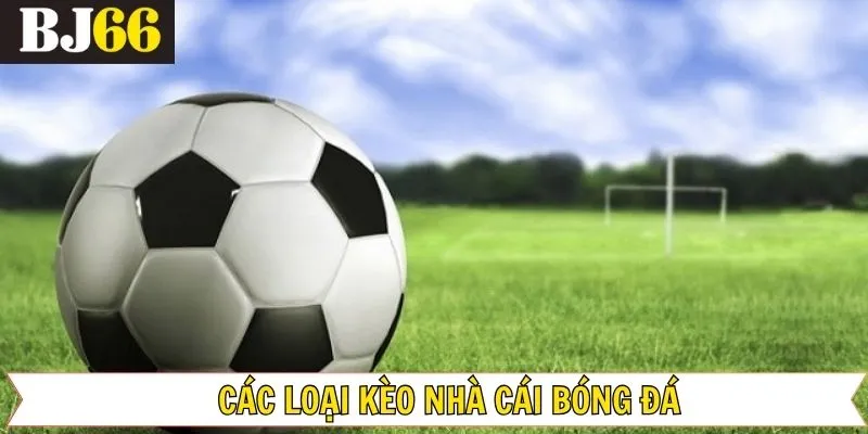 Hướng dẫn chi tiết cách chơi kèo nhà cái bóng đá