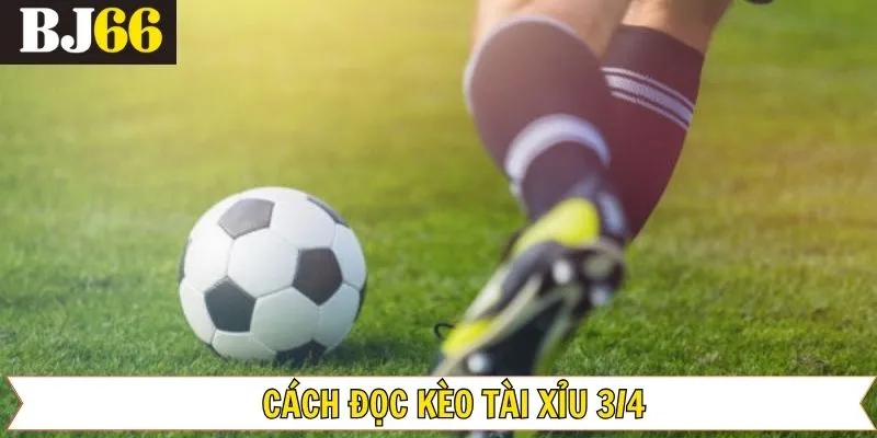 Đọc kèo tài xỉu 3/4 cho từng trường hợp phổ biến
