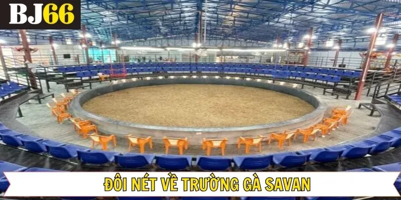 Vài nét về trường gà hàng đầu hiện nay