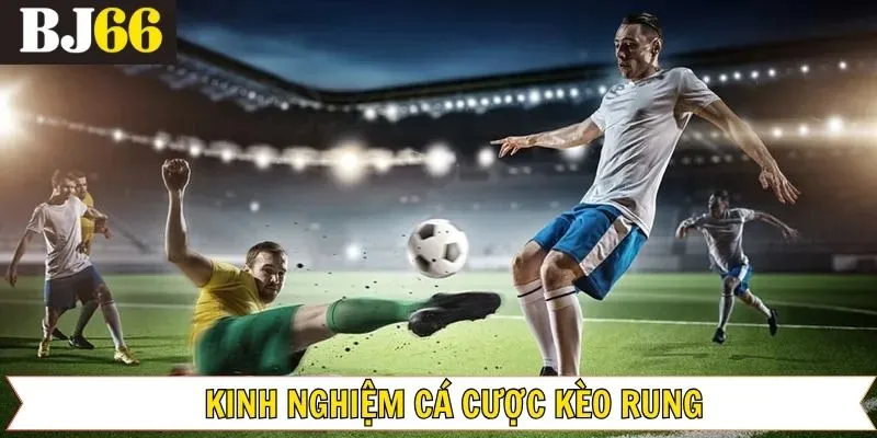 Cung cấp một số chiến thuật hiệu quả cho người mới bắt đầu
