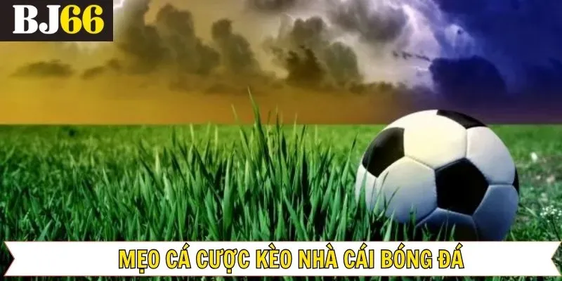 Chia sẻ một số bí kíp bắt kèo nhà cái hiệu quả