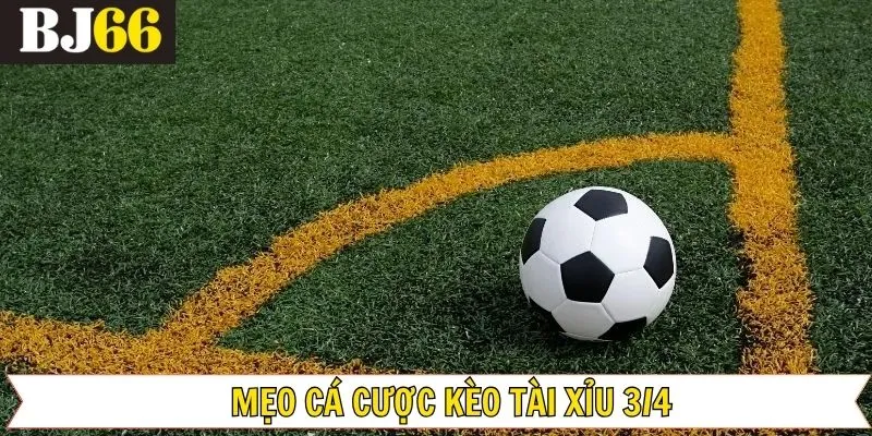 Bí quyết tham gia đặt kèo tài xỉu 3/4 tại BJ66