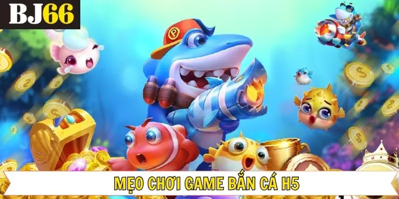 Chia sẻ mẹo chinh phục săn cá hiệu quả nhất