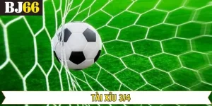 Tài Xỉu 3/4 - Cách Đọc Cơ Bản Và Kinh Nghiệm Chọn Kèo