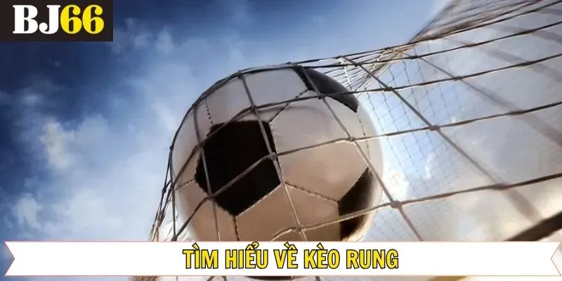 Giới thiệu tóm tắt về kèo rung