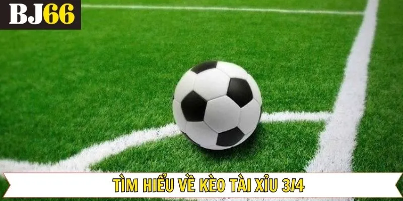 Giới thiệu về tỷ lệ cược tài xỉu 0.75 là gì