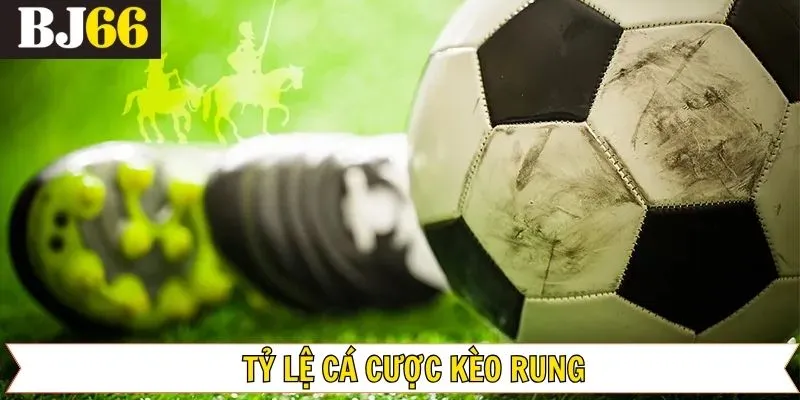 Những loại cược được người chơi ưa thích nhất hiện nay